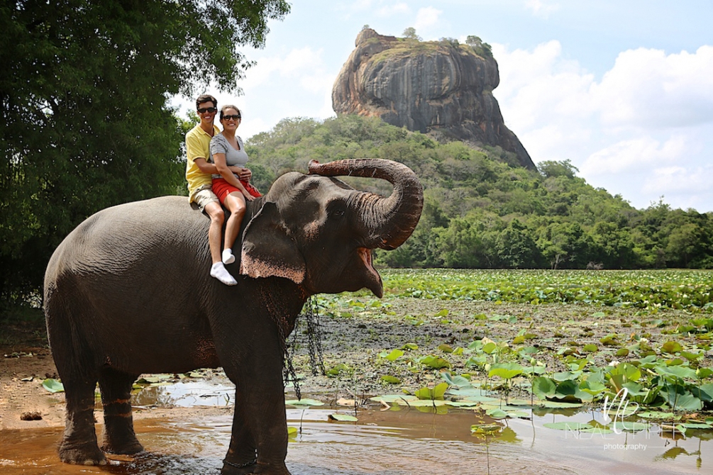 Romance in Paradise 8